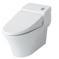 bồn cầu 1 khối INAX AC-1008 (AC-1017VRN)