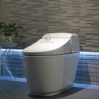 Bồn cầu INAX AC-1032VN