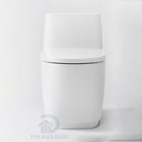 Bàn cầu 1 khối INAX AC-1052VN