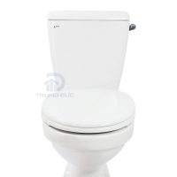 Bồn cầu INAX C117VAN