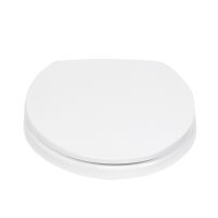 nắp bồn cầu TOTO TC393VS