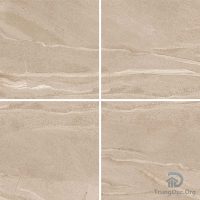 Gạch Apodio 66283020 men bóng, kích thước 60x60 cm 5 %tên tệp%