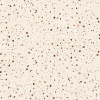 Gạch vân đá terrazzo US 66663