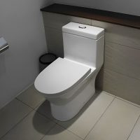 Bàn cầu 1 khối Caesar CD1374