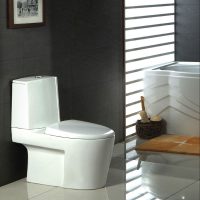 Bàn cầu hai khối Caesar CD1345