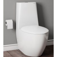 Bàn cầu TOTO CW811PJWS