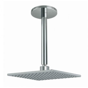 bát sen âm trần TOTO DB144-1CR