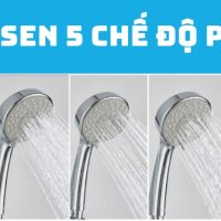 Sen Cây Nhiệt Độ TOTO TBV03427V/DGH108ZR/DM907CS 14 %tên tệp%