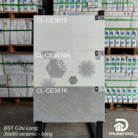 Bộ gạch ốp vệ sinh 30x60 Viglacera CLCE3616 - CLCE3616A - CLCE3615