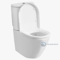 Bồn cầu TOTO 2 khối CS761DT5