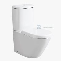 Bồn cầu TOTO 2 khối CS761DT5