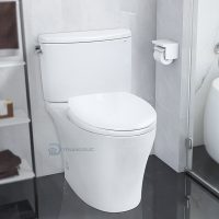 Bồn cầu TOTO hai khối CS767RT2