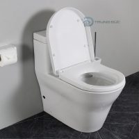 Bồn Cầu TOTO CW166RB/TC384CVK Liền Khối 9 Bồn cầu một khối TOTO CW166RB