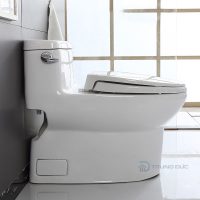 Bồn cầu TOTO liền khối MS884T2