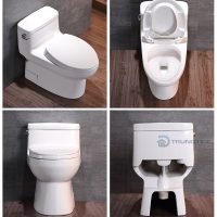 Bồn cầu TOTO liền khối MS884T2