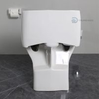 Bồn cầu TOTO 1 khối MS914RT2