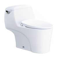 Bàn cầu rửa cơ Caesar C1353/TAF060 1 khối