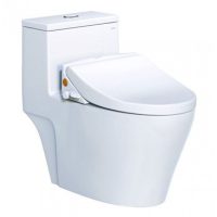 Bồn cầu rửa cơ Caesar CD1356/TAF050 1 khối