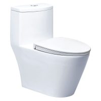 Bồn cầu một khối Caesar CD1363 xả nhấn nắp êm