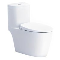 Bồn cầu rửa cơ Caesar CD1364/TAF060 1 khối