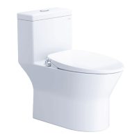 Bồn cầu rửa cơ Caesar CD1374/TAF060 1 khối