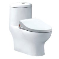 Bồn cầu rửa cơ Caesar CD1375/TAF050 1 khối