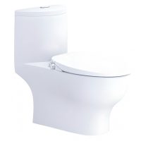 Bồn cầu rửa cơ Caesar CD1375/TAF060 1 khối