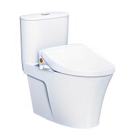 Bồn cầu rửa cơ Caesar CD1395/TAF050 1 khối