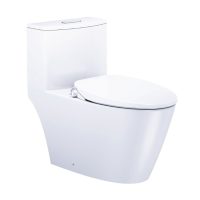 Bồn cầu rửa cơ Caesar CD1363/TAF060 1 khối