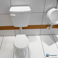 Bồn cầu trẻ em Caesar CT1026 2 khối nắp êm 4 Bồn cầu cho bé Caesar CT1026