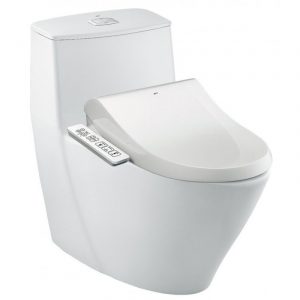 Bồn cầu điện tử INAX AC-919R/CW-H17VN liền khối