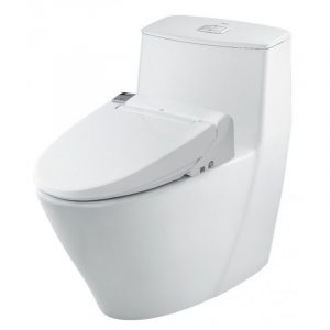 Bồn cầu điện tử INAX AC-919R/CW-KA22AVN liền khối