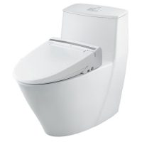 Bồn cầu điện tử INAX AC-919R/CW-KB22AVN liền khối