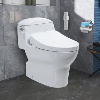 Bồn Cầu Thông Minh TOTO MS914CRW12 (giấu dây) 4 %tên tệp%