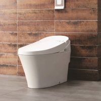 bồn cầu điện tử Viglacera V91