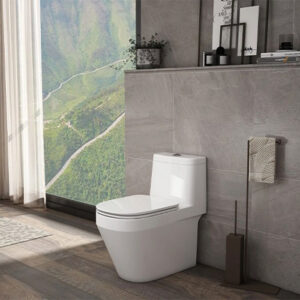 Bồn cầu Hải Vân Vigacera V868