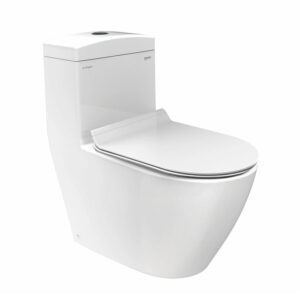 Bồn cầu liền khối Viglacera Platinum P.11.350 xả nhấn nắp êm