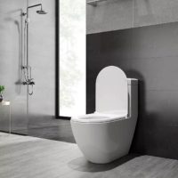 Hình ảnh chụp thực tế bồn cầu Viglacera 1 khối V199