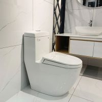 Hình ảnh chụp thực tế bồn cầu liền khối Viglacera V199