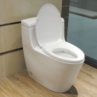 Bồn cầu một khối TOTO MS636DT2