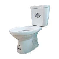Bồn cầu sứ Thái Bình giá rẻ xả nhấn 2 nút