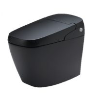 Bồn cầu thông minh INAX AC-G216VN/BKG màu đen