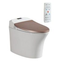 Bồn cầu thông minh Viglacera V93.GW