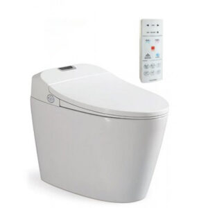 Bồn cầu thông minh Viglacera