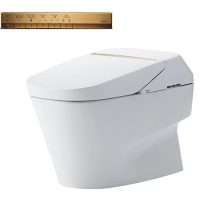 bồn cầu thông minh TOTO CW993VA/TCF993WA/T53P100VR - Bồn Cầu Thông Minh TOTO Neorest XH II