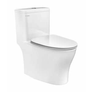 Bồn cầu 1 khối Viglacera Platinum P.11.321