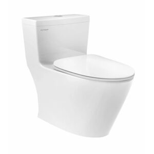 Bồn cầu 1 khối Viglacera Platinum P.11.320 xả nhấn nắp êm