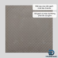 Đế gạch granite Viglacera