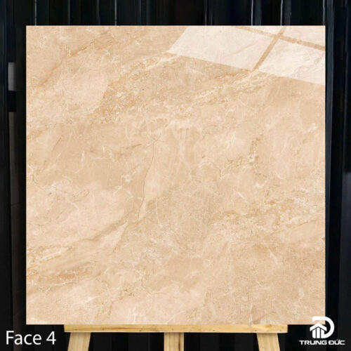 Gạch 100x100 cm Catalan 10002 face 4