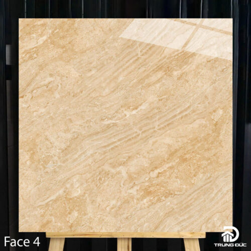 Gạch 100x100 cm Catalan 10003 face 4